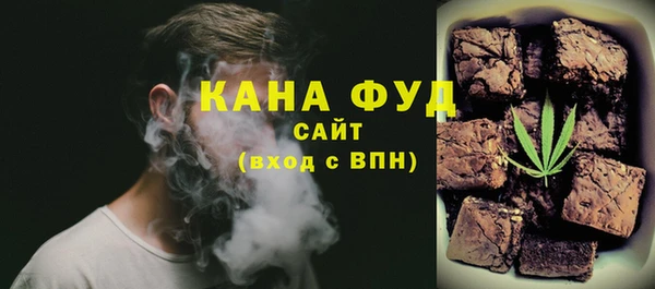 МДПВ Бородино