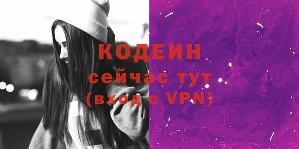 МДПВ Бородино
