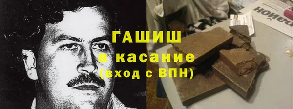 МДПВ Бородино
