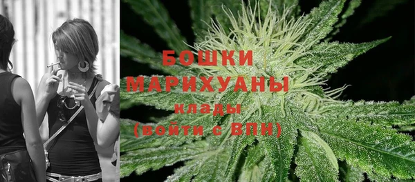 МДПВ Бородино