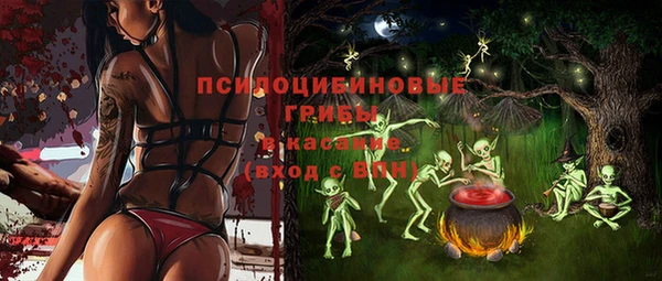 МДПВ Бородино