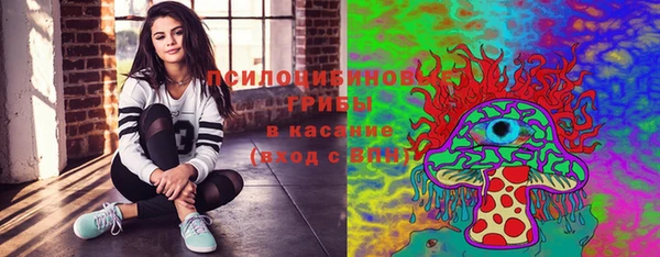 МДПВ Бородино