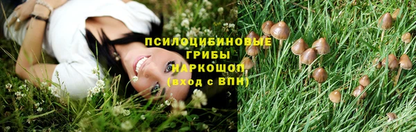 МДПВ Бородино