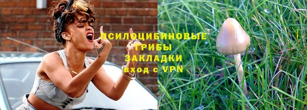 СК Бутурлиновка