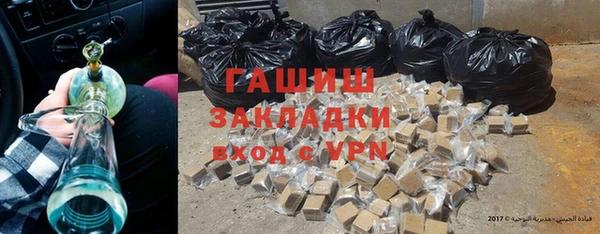 МДПВ Бородино