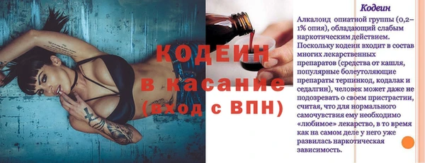 МДПВ Бородино