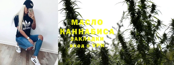 МДПВ Бородино