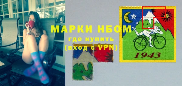 МДПВ Бородино