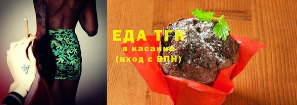 МДПВ Бородино