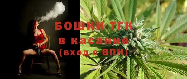 МДПВ Бородино