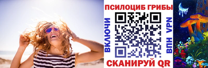 как найти закладки  Горняк  Псилоцибиновые грибы мицелий 